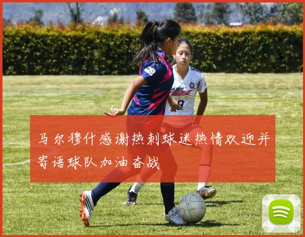 马尔穆什感谢热刺球迷热情欢迎并寄语球队加油奋战